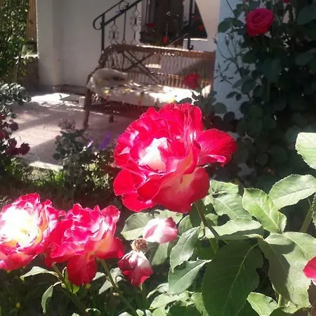 Casa Maria Retezat *