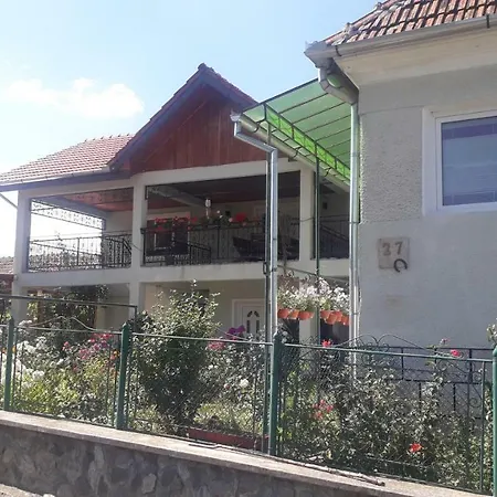 Casa Maria Retezat Country house *